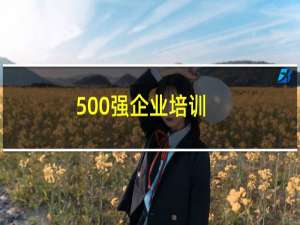 500强企业培训