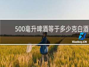 500毫升啤酒等于多少克白酒