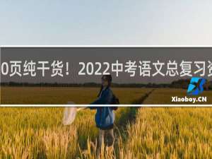 500页纯干货！2022中考语文总复习资料大全，重点高中就靠它了