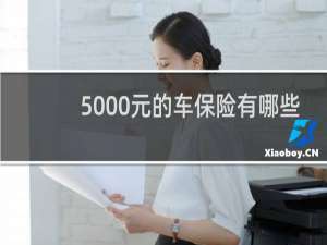 5000元的车保险有哪些