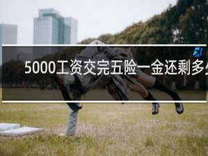 5000工资交完五险一金还剩多少