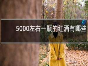 5000左右一瓶的红酒有哪些
