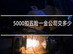 5000扣五险一金公司交多少