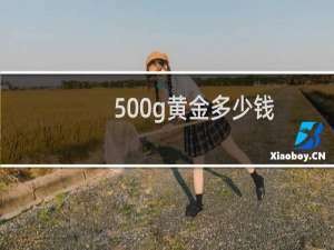 500g黄金多少钱