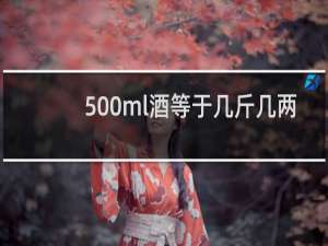 500ml酒等于几斤几两