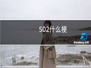 502什么梗