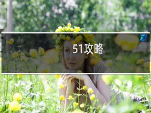 51攻略