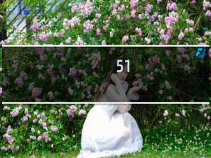 51.mom注册不了，帮我看看