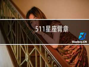 511星座臂章