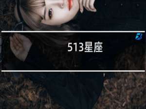 513星座