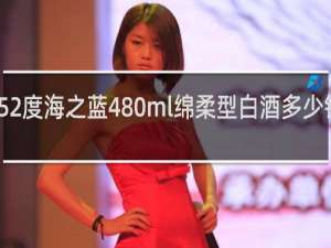 52度海之蓝480ml绵柔型白酒多少钱一箱