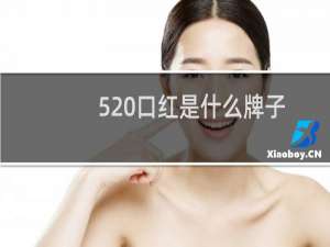 520口红是什么牌子
