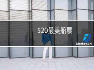 520最美船票