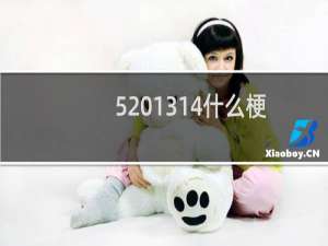 5201314什么梗