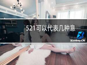 521可以代表几种意思（521是什么意思）