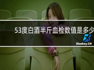53度白酒半斤血检数值是多少