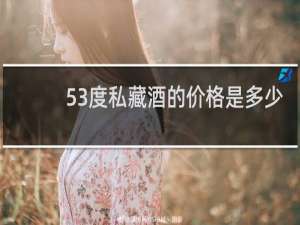 53度私藏酒的价格是多少