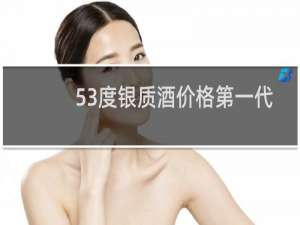 53度银质酒价格第一代