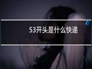 53开头是什么快递