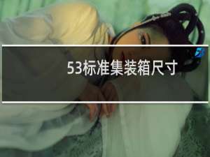 53标准集装箱尺寸