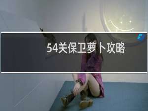 54关保卫萝卜攻略