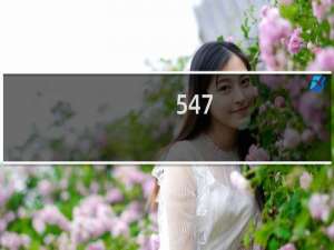 547-547什么梗-「鲸吼社区」