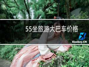 55坐旅游大巴车价格