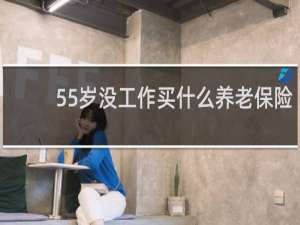 55岁没工作买什么养老保险