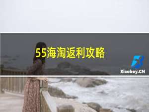 55海淘返利攻略