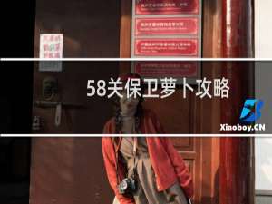 58关保卫萝卜攻略