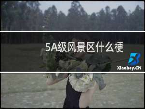5A级风景区什么梗