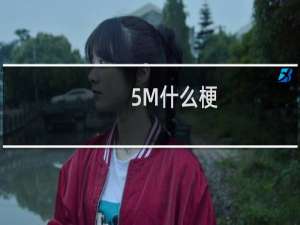 5M什么梗
