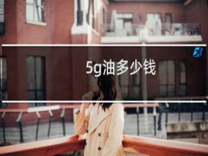 5g油多少钱