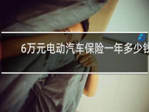 6万元电动汽车保险一年多少钱