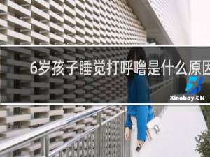 6岁孩子睡觉打呼噜是什么原因