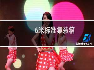 6米标准集装箱