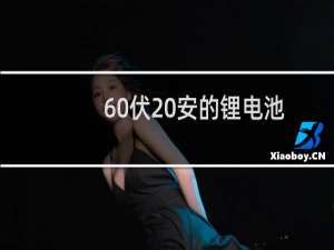 60伏20安的锂电池
