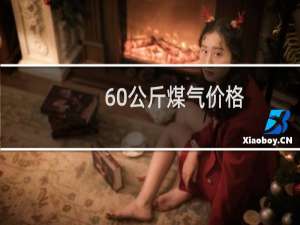 60公斤煤气价格