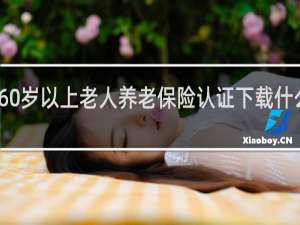 60岁以上老人养老保险认证下载什么软件