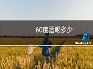 60度酒喝多少