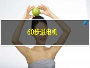 60步进电机