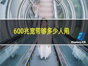 600兆宽带够多少人用