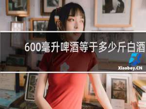 600毫升啤酒等于多少斤白酒