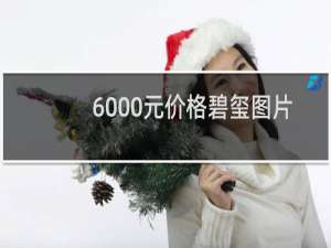 6000元价格碧玺图片
