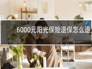 6000元阳光保险退保怎么退