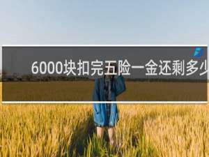 6000块扣完五险一金还剩多少