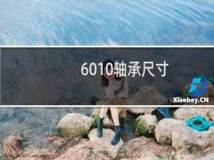 6010轴承尺寸