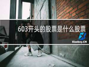 603开头的股票是什么股票