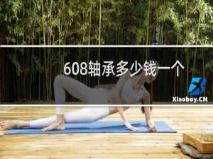 608轴承多少钱一个