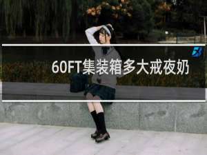 60FT集装箱多大戒夜奶